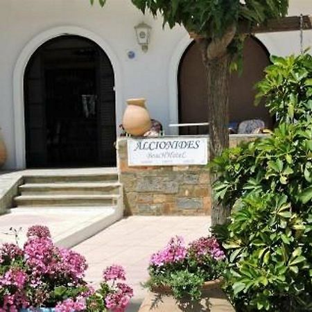 Alkyonides Beach Hotel Malia Eksteriør billede