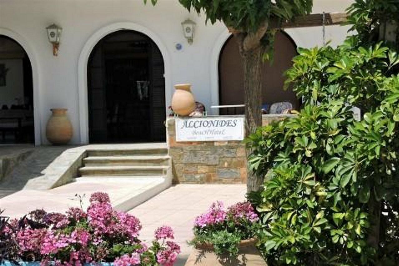 Alkyonides Beach Hotel Malia Eksteriør billede